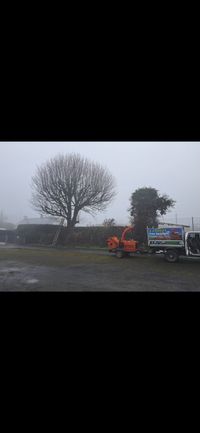 Fallen tree after a storm being cleared by tree surgeons
