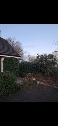 Tree surgery equipment set up on a job in Longford