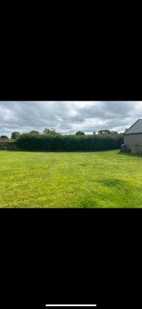 Stump grinding in a Longford garden