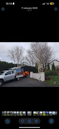 Hedge cutting and hedge reduction in Longford