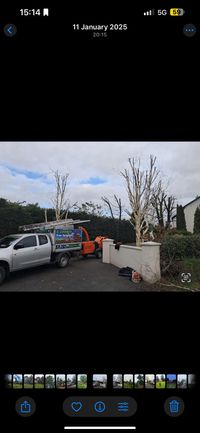 Garden clearance and landscaping after tree work in Longford