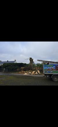 Tree surgeon pruning the crown of a tree